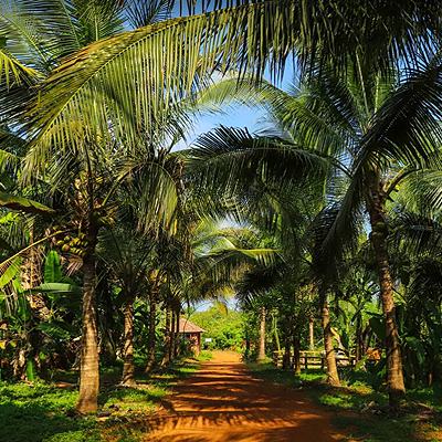 Gaonkars Nandanvan Farm - Ponda