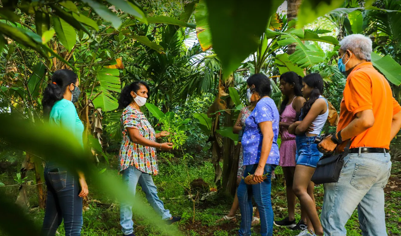 Spice Garden Tour Goa