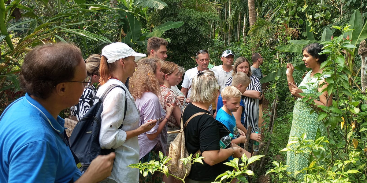 Goa Nature Farm Tour | Goa Spice Farms | Spice Tours in Goa